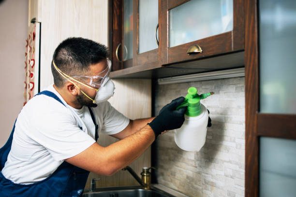Best Pest Control Near Me in Enosburg Falls, VT