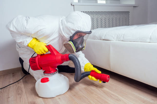 Best Termite Control Services  in Enosburg Falls, VT