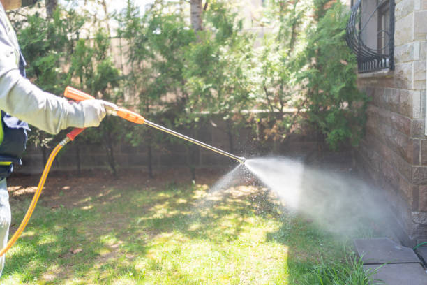 Best Flea Control Services  in Enosburg Falls, VT