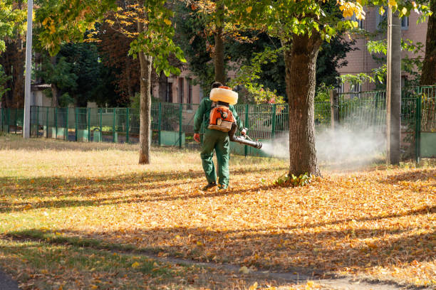 Best Exterminator Services  in Enosburg Falls, VT